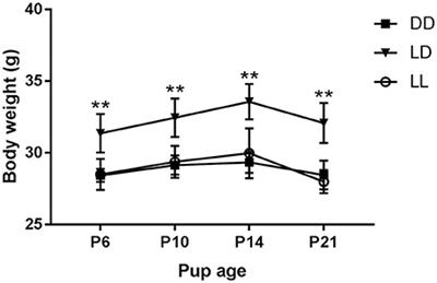 Postnatal Light Effects on Pup Stress Axis Development Are Independent of Maternal Behavior